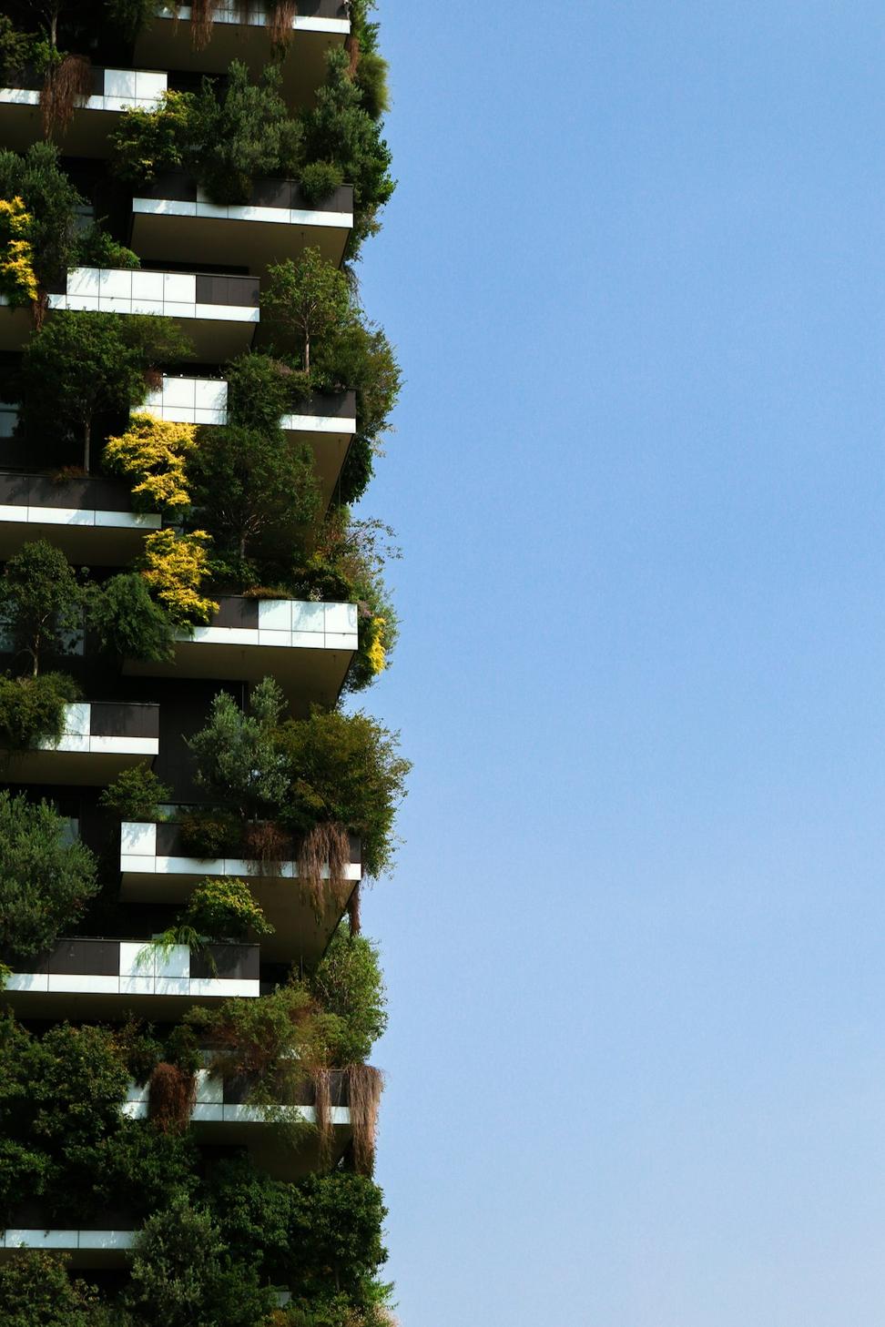 Boutique Eco-Hotel