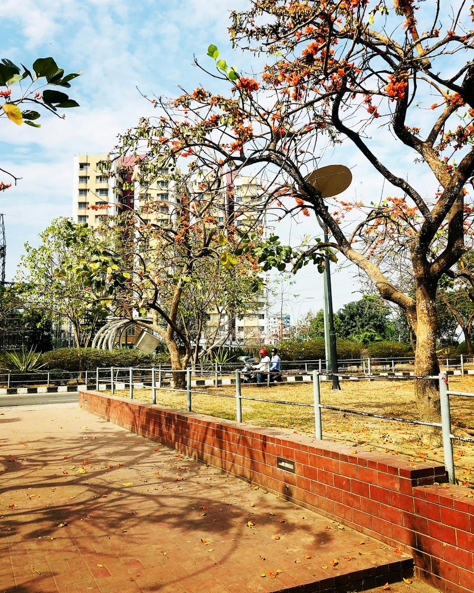 Waterfront Urban Park